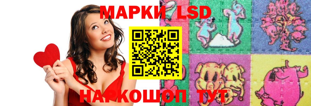 Кропоткин  LSD-25 экстази ecstasy  Вход с VPN 
