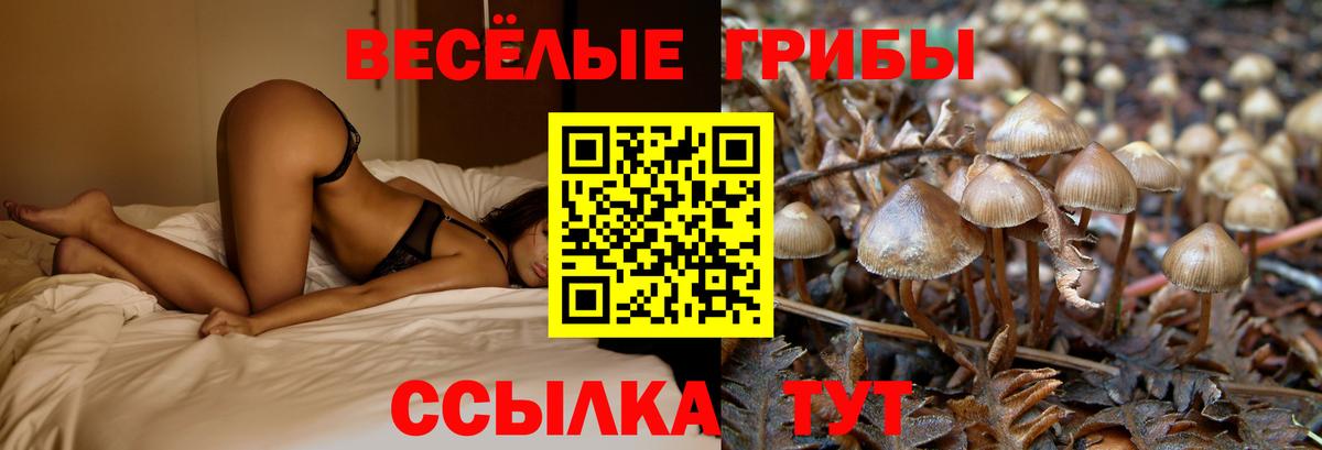 Кропоткин  Галлюциногенные грибы мухоморы  Вход с VPN  Псилоцибиновые грибы прущие грибы 